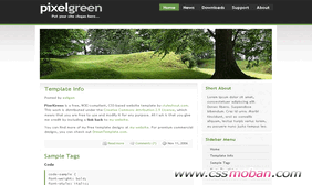 漂亮的绿色企业网站模板