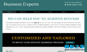 墨绿色极简风格的商业网站模板