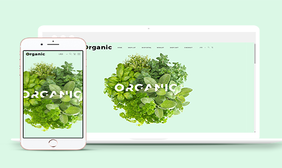 绿色有机蔬菜水果食品电商网站模板